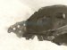2023 Nissan Pathfinder Front Passenger Inner Fender Liner 63842 6SA0B Replacement 2023 Nissan Pathfinder Front Passenger Inner Fender Liner 63842 6SA0B Replacement thumbnail