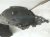 2023 Nissan Pathfinder Front Driver Inner Fender Liner 63843 6SA0B Replacement 2023 Nissan Pathfinder Front Driver Inner Fender Liner 63843 6SA0B Replacement thumbnail