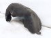 2023 Nissan Pathfinder Rear Driver Inner Fender Liner 76749 6TA1A Replacement 2023 Nissan Pathfinder Rear Driver Inner Fender Liner 76749 6TA1A Replacement thumbnail