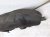2023 Nissan Pathfinder Rear Driver Inner Fender Liner 76749 6TA1A Replacement 2023 Nissan Pathfinder Rear Driver Inner Fender Liner 76749 6TA1A Replacement thumbnail