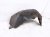 2023 Nissan Pathfinder Rear Passenger Inner Fender Liner 76748 6TA1A Replacement 2023 Nissan Pathfinder Rear Passenger Inner Fender Liner 76748 6TA1A Replacement thumbnail
