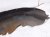 2023 Nissan Pathfinder Rear Passenger Inner Fender Liner 76748 6TA1A Replacement 2023 Nissan Pathfinder Rear Passenger Inner Fender Liner 76748 6TA1A Replacement thumbnail