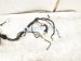 2023 Nissan Pathfinder Dash Instrument Wire Harness Fwd 24010 6TG1A Replacement 2023 Nissan Pathfinder Dash Instrument Wire Harness Fwd 24010 6TG1A Replacement thumbnail