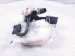2024 Toyota Corolla Coolant Overflow Reservoir Tank 16470 37040 Replacement 2024 Toyota Corolla Coolant Overflow Reservoir Tank 16470 37040 Replacement thumbnail