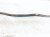 2004 Volvo S40 Front Stabilizer / Sway Bar W/links 30620662 Replacement 2004 Volvo S40 Front Stabilizer / Sway Bar W/links 30620662 Replacement thumbnail