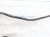 2004 Volvo S40 Front Stabilizer / Sway Bar W/links 30620662 Replacement 2004 Volvo S40 Front Stabilizer / Sway Bar W/links 30620662 Replacement thumbnail