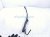 2025 Honda Civic Driver Windshield Wiper Arm 76610 T20 A21 Replacement 2025 Honda Civic Driver Windshield Wiper Arm 76610 T20 A21 Replacement thumbnail