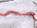 2019 Lexus Es300h Battery Cable Hybrid Drive Motor Control Harness 821H1 33030 Replacement 2019 Lexus Es300h Battery Cable Hybrid Drive Motor Control Harness 821H1 33030 Replacement thumbnail