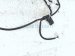 2019 Lexus Es300h Rear Bumper Parking Sensor Harness 82182 33240 Replacement 2019 Lexus Es300h Rear Bumper Parking Sensor Harness 82182 33240 Replacement thumbnail