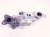 2024 Toyota Corolla Egr Cooler 2.0l Htbk 25680 24010 Replacement 2024 Toyota Corolla Egr Cooler 2.0l Htbk 25680 24010 Replacement thumbnail