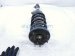 2012 Acura TSX Front Driver Strut + Spring 51620 TL2 A12 Replacement 2012 Acura TSX Front Driver Strut + Spring 51620 TL2 A12 Replacement thumbnail