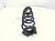 2025 Honda Civic Strut / / Shock Absorber Rear Driver Coil Spring Sport Hybrid 52441 T61 A01 Replacement 2025 Honda Civic Strut / / Shock Absorber Rear Driver Coil Spring Sport Hybrid 52441 T61 A01 Replacement thumbnail