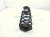 2025 Honda Civic Strut / / Shock Absorber Rear Driver Coil Spring Sport Hybrid 52441 T61 A01 Replacement 2025 Honda Civic Strut / / Shock Absorber Rear Driver Coil Spring Sport Hybrid 52441 T61 A01 Replacement thumbnail