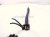 2018 Honda Clarity Driver Windshield Wiper Arm 76600 TRT A02 Replacement 2018 Honda Clarity Driver Windshield Wiper Arm 76600 TRT A02 Replacement thumbnail