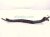 2018 Honda Clarity Driver Windshield Wiper Arm 76600 TRT A02 Replacement 2018 Honda Clarity Driver Windshield Wiper Arm 76600 TRT A02 Replacement thumbnail