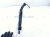2018 Honda Clarity Passenger Windshield Wiper Arm 76610 TRT A03 Replacement 2018 Honda Clarity Passenger Windshield Wiper Arm 76610 TRT A03 Replacement thumbnail