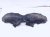 2020 Acura TLX Rear Driver Inner Fender Liner 74590 TZ3 A10 Replacement 2020 Acura TLX Rear Driver Inner Fender Liner 74590 TZ3 A10 Replacement thumbnail