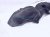 2020 Acura TLX Rear Driver Inner Fender Liner 74590 TZ3 A10 Replacement 2020 Acura TLX Rear Driver Inner Fender Liner 74590 TZ3 A10 Replacement thumbnail