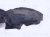 2020 Acura TLX Rear Driver Inner Fender Liner 74590 TZ3 A10 Replacement 2020 Acura TLX Rear Driver Inner Fender Liner 74590 TZ3 A10 Replacement thumbnail