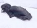 2020 Acura TLX Rear Driver Inner Fender Liner 74590 TZ3 A10 Replacement 2020 Acura TLX Rear Driver Inner Fender Liner 74590 TZ3 A10 Replacement thumbnail