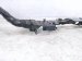 2019 Honda Accord Core Radiator Support Upper Tie Bar 60400 TVA A00ZZ Replacement 2019 Honda Accord Core Radiator Support Upper Tie Bar 60400 TVA A00ZZ Replacement thumbnail