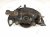 2018 Lexus Rx350 Front Passenger Spindle Knuckle Hub Awd 43211 0E040 Replacement 2018 Lexus Rx350 Front Passenger Spindle Knuckle Hub Awd 43211 0E040 Replacement thumbnail