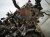2018 Lexus Rx350 Long Block Engine / Motor = 81k Mi 19000 0P481 Replacement 2018 Lexus Rx350 Long Block Engine / Motor = 81k Mi 19000 0P481 Replacement thumbnail