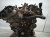2018 Lexus Rx350 Long Block Engine / Motor = 81k Mi 19000 0P481 Replacement 2018 Lexus Rx350 Long Block Engine / Motor = 81k Mi 19000 0P481 Replacement thumbnail