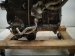 2018 Lexus Rx350 Long Block Engine / Motor = 81k Mi 19000 0P481 Replacement 2018 Lexus Rx350 Long Block Engine / Motor = 81k Mi 19000 0P481 Replacement thumbnail