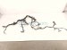 2004 Toyota Tacoma Engine Room Wire Harness 3.4l 4x2 82121 3M350 Replacement 2004 Toyota Tacoma Engine Room Wire Harness 3.4l 4x2 82121 3M350 Replacement thumbnail