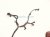 2004 Toyota Tacoma Engine Room Wire Harness 3.4l 4x2 82121 3M350 Replacement 2004 Toyota Tacoma Engine Room Wire Harness 3.4l 4x2 82121 3M350 Replacement thumbnail
