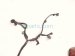 2004 Toyota Tacoma Engine Room Wire Harness 3.4l 4x2 82121 3M350 Replacement 2004 Toyota Tacoma Engine Room Wire Harness 3.4l 4x2 82121 3M350 Replacement thumbnail