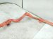 2019 Lexus Es300h Battery Cable Hybrid Drive Motor Control Harness 821H1 33030 Replacement 2019 Lexus Es300h Battery Cable Hybrid Drive Motor Control Harness 821H1 33030 Replacement thumbnail