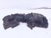 2019 Audi S5 Audi Rear Driver Inner Fender Liner 8W6 810 171 A Replacement 2019 Audi S5 Audi Rear Driver Inner Fender Liner 8W6 810 171 A Replacement thumbnail