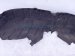 2019 Audi S5 Audi Rear Driver Inner Fender Liner 8W6 810 171 A Replacement 2019 Audi S5 Audi Rear Driver Inner Fender Liner 8W6 810 171 A Replacement thumbnail