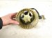 1993 Saab 9000 Air Hvac Blower Motor Assy 32021805 Replacement 1993 Saab 9000 Air Hvac Blower Motor Assy 32021805 Replacement thumbnail