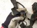 2003 Saab 9 3 Engine Room Wiring Harness 12799741 Replacement 2003 Saab 9 3 Engine Room Wiring Harness 12799741 Replacement thumbnail