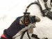 2003 Saab 9 3 Engine Room Wiring Harness 12799741 Replacement 2003 Saab 9 3 Engine Room Wiring Harness 12799741 Replacement thumbnail