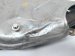 2012 Volkswagen Passat Exhaust Manifold 2.5l 07K 253 031 M Replacement 2012 Volkswagen Passat Exhaust Manifold 2.5l 07K 253 031 M Replacement thumbnail