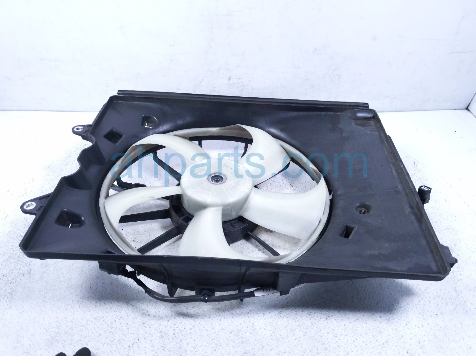 Honda RADIATOR FAN ASSEMBLY