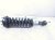 2021 Ford F150 Front Passenger Strut + Spring ML34 18045 BC Replacement 2021 Ford F150 Front Passenger Strut + Spring ML34 18045 BC Replacement thumbnail