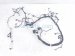 2021 Ford F150 Engine Wire Harness 5.0l At 4x2 MU5T 12C508 AP Replacement 2021 Ford F150 Engine Wire Harness 5.0l At 4x2 MU5T 12C508 AP Replacement thumbnail