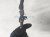 2021 Ford F150 Engine Wire Harness 5.0l At 4x2 MU5T 12C508 AP Replacement 2021 Ford F150 Engine Wire Harness 5.0l At 4x2 MU5T 12C508 AP Replacement thumbnail