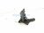2023 Audi A3 Audi Combo Headlight / Wiper Column Switch 82A 953 521 NJ Replacement 2023 Audi A3 Audi Combo Headlight / Wiper Column Switch 82A 953 521 NJ Replacement thumbnail