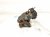 2023 Audi A3 Audi Rear Passenger Brake Caliper 5WA 615 424 SL7 Replacement 2023 Audi A3 Audi Rear Passenger Brake Caliper 5WA 615 424 SL7 Replacement thumbnail