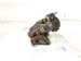 2023 Audi A3 Audi Rear Passenger Brake Caliper 5WA 615 424 SL7 Replacement 2023 Audi A3 Audi Rear Passenger Brake Caliper 5WA 615 424 SL7 Replacement thumbnail