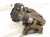 2023 Audi A3 Audi Rear Driver Brake Caliper 5WA 615 423 SL7 Replacement 2023 Audi A3 Audi Rear Driver Brake Caliper 5WA 615 423 SL7 Replacement thumbnail