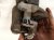 2023 Audi A3 Audi Rear Driver Brake Caliper 5WA 615 423 SL7 Replacement 2023 Audi A3 Audi Rear Driver Brake Caliper 5WA 615 423 SL7 Replacement thumbnail