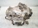 2023 Audi A3 Audi Automatic Transmission = Mi 0GC Replacement 2023 Audi A3 Audi Automatic Transmission = Mi 0GC Replacement thumbnail