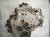 2023 Audi A3 Audi Automatic Transmission = Mi 0GC Replacement 2023 Audi A3 Audi Automatic Transmission = Mi 0GC Replacement thumbnail